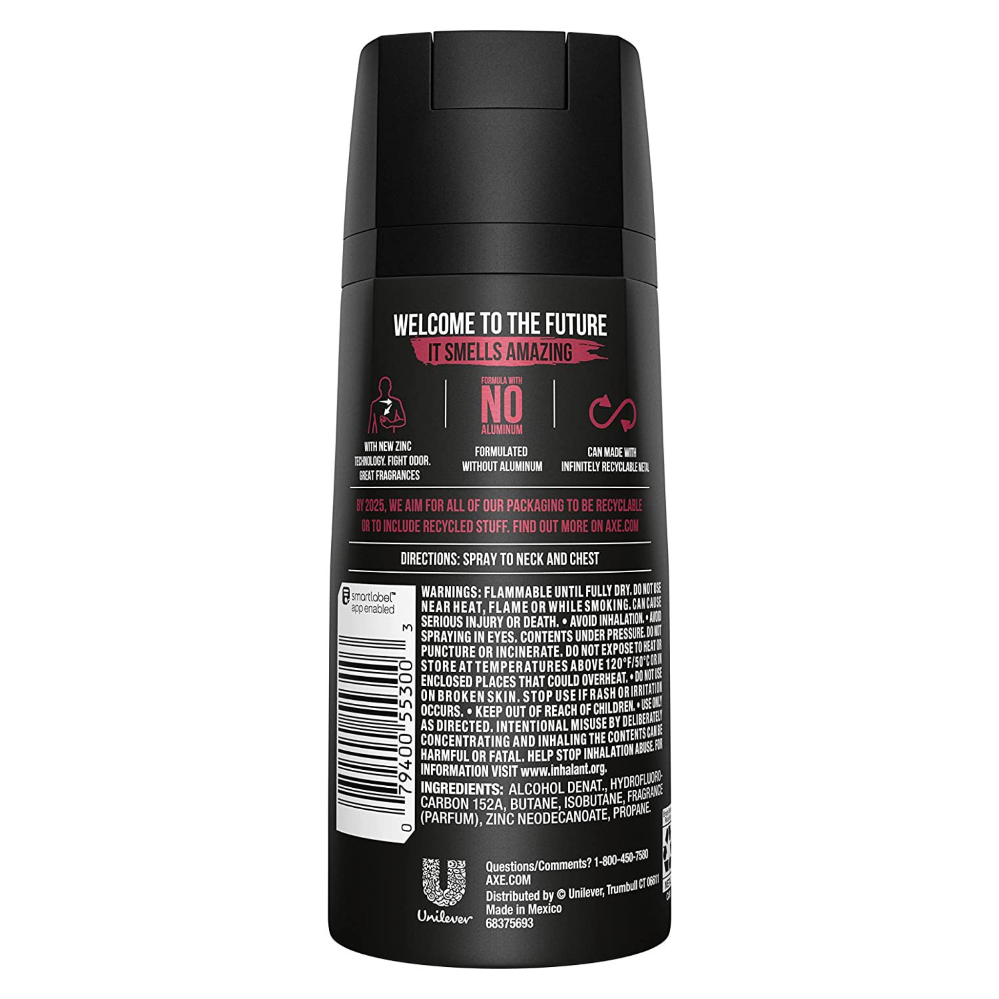 AXE Men's 48 Hr Deodorant Body Spray - Essence, 4 oz